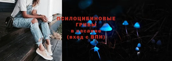 круглые Аркадак