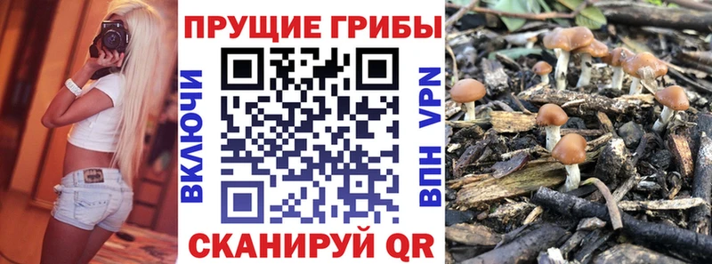 shop Telegram  Чайковский  Псилоцибиновые грибы MAGIC MUSHROOMS  купить наркоту 